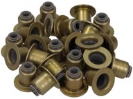 TESNENIA VENTILOV CITROEN C5 C6 2,7 3,0 HDi TESNENIA VENTILOV CITROEN C5 C6 2,7 3,0 HDi