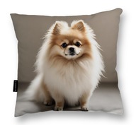 POMERANSKÝ VANKÚŠ PRE psa 40x40 perfektný DARČEK Miniatúrny špic na spanie POMERANSKÝ VANKÚŠ PRE psa 40x40 perfektný DARČEK Miniatúrny špic na spanie