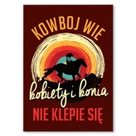 Obliečka pre žrebčín - darček pre milovníka koní Obliečka pre žrebčín - darček pre milovníka koní