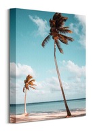 Obraz palmy na morskej pláži na plátne 30x40 cm