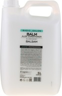 STAPIZ ALOE VERA BALZAM NA VLASY 5L STAPIZ ALOE VERA BALZAM NA VLASY 5L