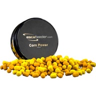 Nástraha Dumbells Esca Feeder Method Wafters 6mm Corn Power Mini 50ml Nástraha Dumbells Esca Feeder Method Wafters 6mm Corn Power Mini 50ml
