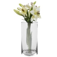 TUBA lesná sklenená valcová váza v dóze, výška 20 cm
