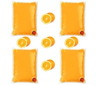 Pomarančový džús POMERANČ 4x5L z pomarančov pre rodinu 80 pohárov NFC Pomarančový džús POMERANČ 4x5L z pomarančov pre rodinu 80 pohárov NFC