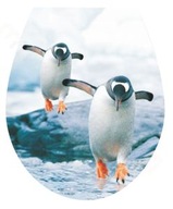 3D nálepka na záchodovú dosku tučniakov