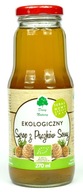 Dary Natury sirup 270 ml borovicové výhonky Dary Natury sirup 270 ml borovicové výhonky