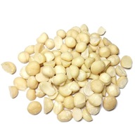 MAKADAMIOVÉ ORECHY POL 1kg MAKADAMIA MAKADAMIOVÉ ORECHY POL 1kg MAKADAMIA