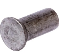 Zápustné nity pre Busatis 6x15 mm, 0,5 kg Zápustné nity pre Busatis 6x15 mm, 0,5 kg