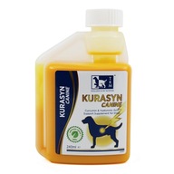 Kurasyn Canine 240ml - kurkumín a kyselina hyalurónová