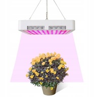 Grow Light 100W lampa na rast rastlín