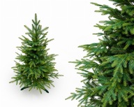 Umelý vianočný stromček/ kaukazský smrek 100 cm