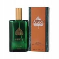 PRODUKT COTY ASPEN EDC 118ML