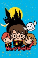 Detská deka ľahká deka 100x150 Harry Potter deti Detská deka ľahká deka 100x150 Harry Potter deti