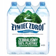 Żywiec Zdrój Pramenitá voda 6 x 1,5l Żywiec Zdrój Pramenitá voda 6 x 1,5l