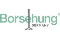 BORSEHUNG B19003 Výfukový ventil BORSEHUNG B19003 Výfukový ventil