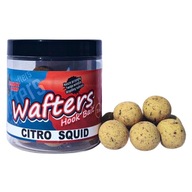 BANDIT CARP Wafters Citro Squid 20mm BB BANDIT CARP Wafters Citro Squid 20mm BB