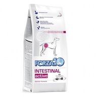 Forza10 - INTESTINAL ACTIVE pre psov 4kg - vyrovnávanie porúch trávenia