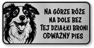 Border Collie Dog Pozornosť Sign Border Collie Dog Pozornosť Sign
