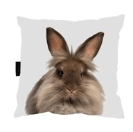 VANKÚŠ s KRÁLIKOM KRÁLIKOM 40x40 perfektný DARČEK VANKÚŠ s KRÁLIKOM KRÁLIKOM 40x40 perfektný DARČEK