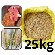 Jačmeň pre sliepky holuby Grains Feed Feed Dry Jačmeň pre sliepky holuby Grains Feed Feed Dry