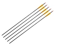 Poe Lang hliníkový šíp šíp 30'' SET 5 kusov Poe Lang hliníkový šíp šíp 30'' SET 5 kusov