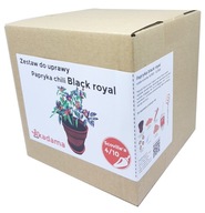 Novoročný darček Black Royal peppers