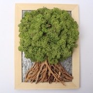 Živý obraz Strom z machu Chrobotek 24x18cm DY127