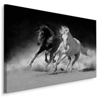 Obraz do obývačky čiernobiele kone cválajú 120x80