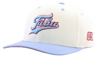 Pánska šiltovka FUBU Headwear 05 FULL CAP 3D výšivka 55-60cm