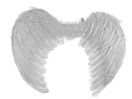 Anjelské krídla 48x28 cm, krídla Kostým betlehem