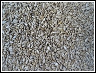 Slnečnicové semienka lúpané 25 kg, nelámané, kvalitné