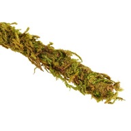LIANA S PRAVÝM MACHOM DO TERÁRIÍ PRE STROMOVÉ PLAZY 2cm x 2m LIANA S PRAVÝM MACHOM DO TERÁRIÍ PRE STROMOVÉ PLAZY 2cm x 2m