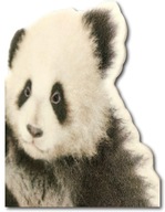 Nálepka na stenu PANDA 43x40 Zútulňuje mäkkú stenu Nálepka na stenu PANDA 43x40 Zútulňuje mäkkú stenu
