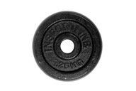 HMOTNOSŤ LIATINY INSEC 1,25KG 30MM /INSPORTLINE HMOTNOSŤ LIATINY INSEC 1,25KG 30MM /INSPORTLINE