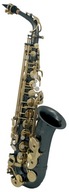 Alto saxofón Roy Benson RB700603 v Eb ladení