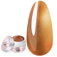 Farebný gél Aba Group Painting Gel Master 12 Brown gold 5 ml Farebný gél Aba Group Painting Gel Master 12 Brown gold 5 ml
