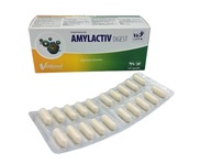 Vetfood Amylactiv Digest 20 kapsúl 1 blister pre psov, mačky na trávenie Vetfood Amylactiv Digest 20 kapsúl 1 blister pre psov, mačky na trávenie