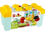 LEGO 10984 Duplo Kultivačná záhrada