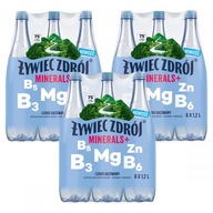 Żywiec Zdrój Minerály+ mierne sýtené 18 x 1,2 l Żywiec Zdrój Minerály+ mierne sýtené 18 x 1,2 l
