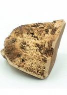 Originálne hryzátko pre 4 psov Briar, veľkosť L Originálne hryzátko pre 4 psov Briar, veľkosť L