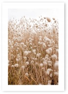 Boho grass béžový plagát A1 59,4x84,1 cm #109 Boho grass béžový plagát A1 59,4x84,1 cm #109