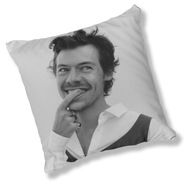 VANKÚŠ FULLPRINT HARRY STYLES 01 DARČEK VANKÚŠ FULLPRINT HARRY STYLES 01 DARČEK