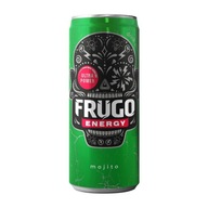 FRUGO WILD PUNCH MOJITO ENERGY 330ML/24