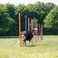 Dog Activity Trixie dog agility prekážková dráha