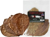 BENIBACHI Leaf (5 kusov) Listy pre krevety árium BENIBACHI Leaf (5 kusov) Listy pre krevety árium