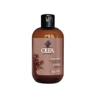 OLEA ŠAMPÓN S BAOBABOM A ĽANOVÝM OLEJOM 250ML OLEA ŠAMPÓN S BAOBABOM A ĽANOVÝM OLEJOM 250ML