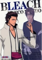 Anime Manga Bleach Plagát blh_026 A2