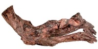 ZOLUX Mangrove Koreň 15-25 cm