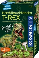 ARCHEOLOGICKÝ SET T-REX ARCHEOLOGICKÝ SET T-REX