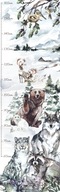 Nálepka MERANIE VÝŠKY Lesné zvieratká Hory Teddy Bear